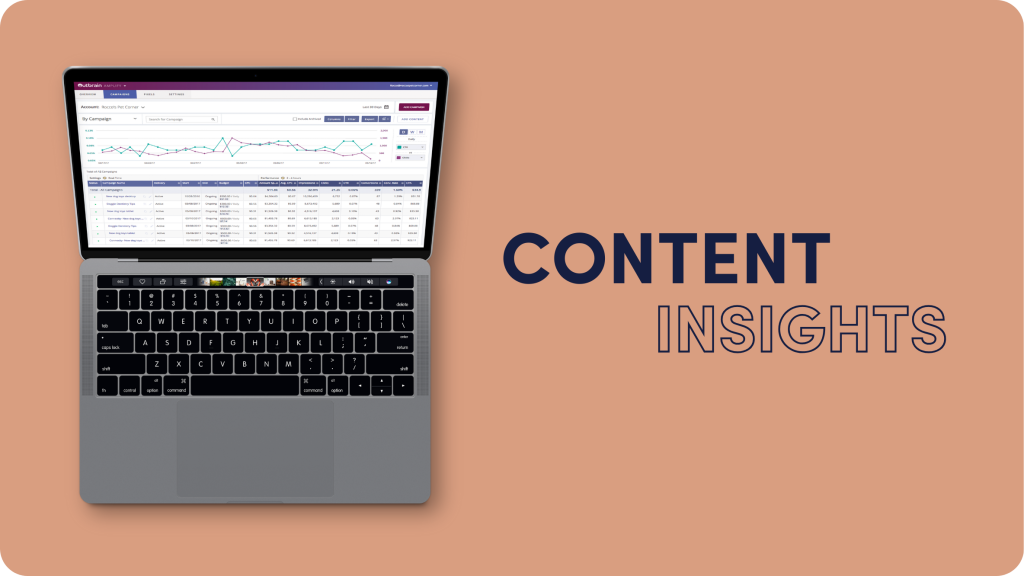 Content Marketing Insights
